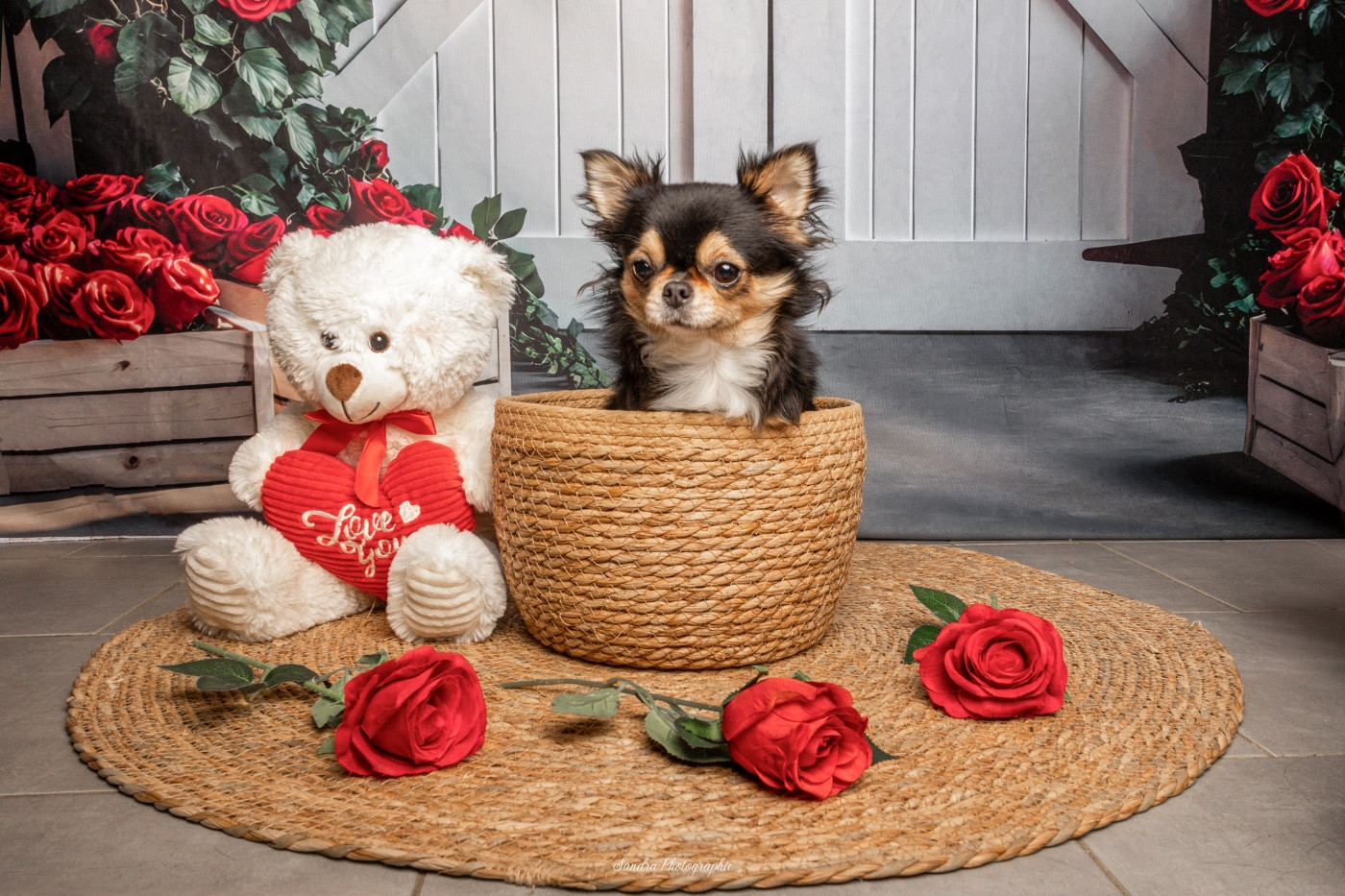 Van-de-kamp bree Des Minis Trésors