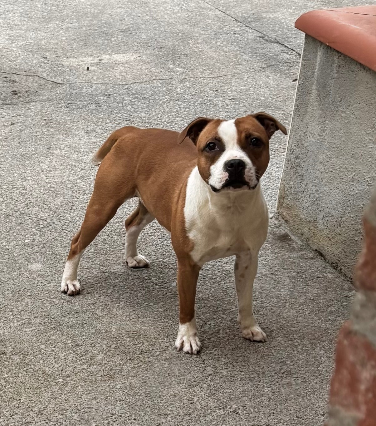 Lalie's Niños Vengeress Rebecca Hooper